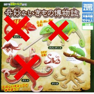 タカラトミーアーツ(T-ARTS)の奇妙ないきもの博物誌　タコB ガチャ　あそべる生物フィギュアシリーズ　(その他)