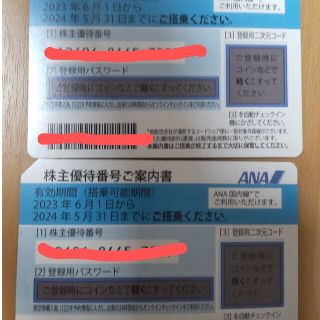 エーエヌエー(ゼンニッポンクウユ)(ANA(全日本空輸))のANA株主優待券(その他)