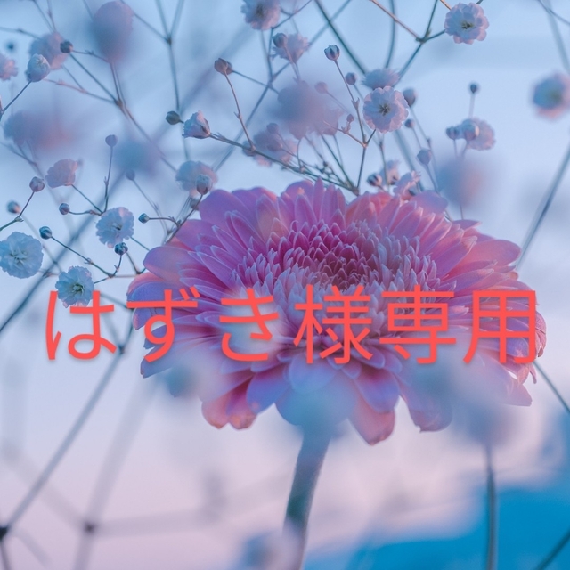 オペラ 限定色 2点セット