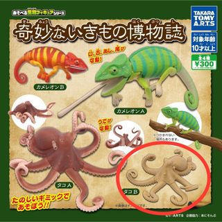 タカラトミーアーツ(T-ARTS)のあそべる生物フィギュアシリーズ 奇妙ないきもの博物誌　タコB(その他)