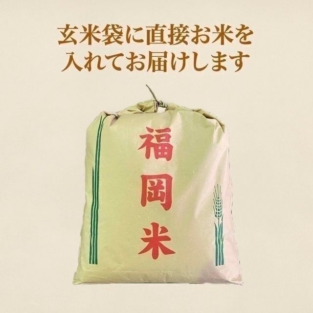 砕米25kg クリーニング済み 米 鳥の餌 飼料 えさ お得 安い お米 米粉 食品/飲料/酒の食品(米/穀物)の商品写真