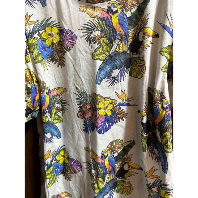 ZARA(ザラ)のZARA ザラ　ブラウス　花柄 レディースのトップス(シャツ/ブラウス(半袖/袖なし))の商品写真