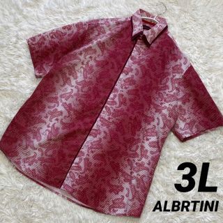 ALBRTINI シャツ ペイズリー ストライプ グラデーション 3L 良品(シャツ)