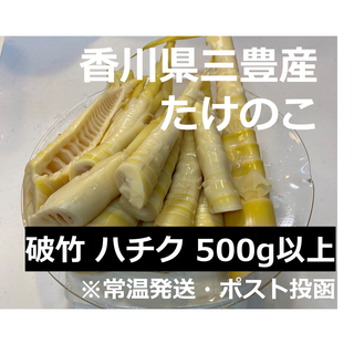 【3セット限定販売】香川県三豊産　たけのこ　500g(野菜)