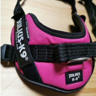 JULIUSｰK9　ホットピンク　size:Mini(犬)