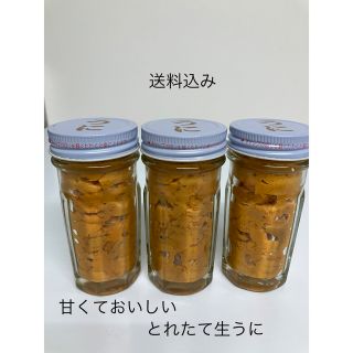 新鮮 生うに３本 長崎県壱岐産(魚介)