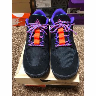 ナイキ(NIKE)の美品 NIKE ACG DOG MOUNTAIN 29㎝/11(スニーカー)