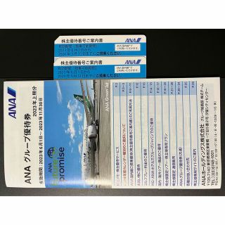 エーエヌエー(ゼンニッポンクウユ)(ANA(全日本空輸))のANA（全日空）株主優待 2枚(航空券)