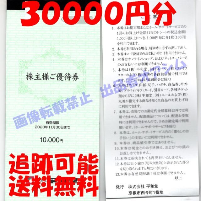日本オンライン 30000円分 平和堂株主優待券(100円券300枚