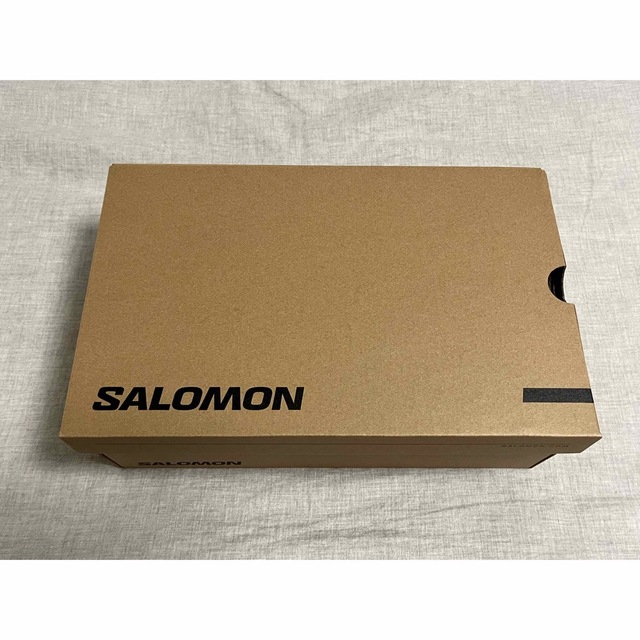 SALOMON(サロモン)の【新品】Salomon サロモン XT-6 ADV 30cm メンズの靴/シューズ(スニーカー)の商品写真