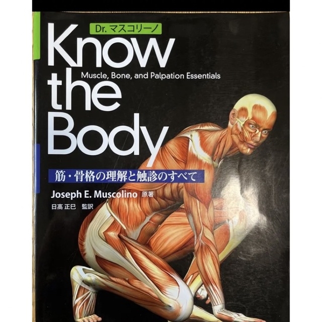 Know the Body 筋・骨格の理解と触診のすべて【裁断済】 エンタメ/ホビーの本(健康/医学)の商品写真