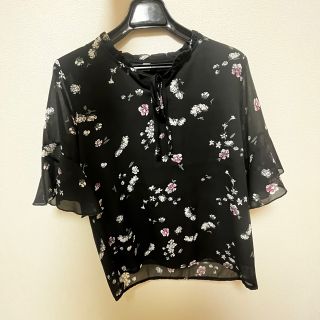 半袖　Tシャツ(シャツ/ブラウス(半袖/袖なし))