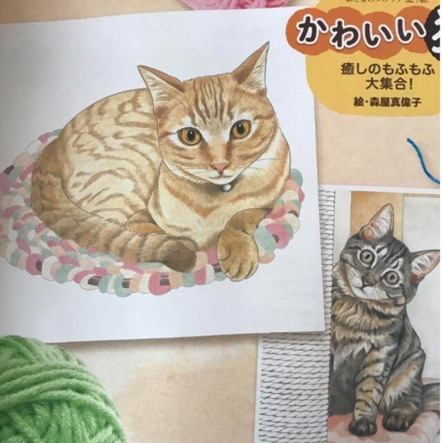 おとなのスケッチ塗り絵  かわいい猫 エンタメ/ホビーの本(趣味/スポーツ/実用)の商品写真