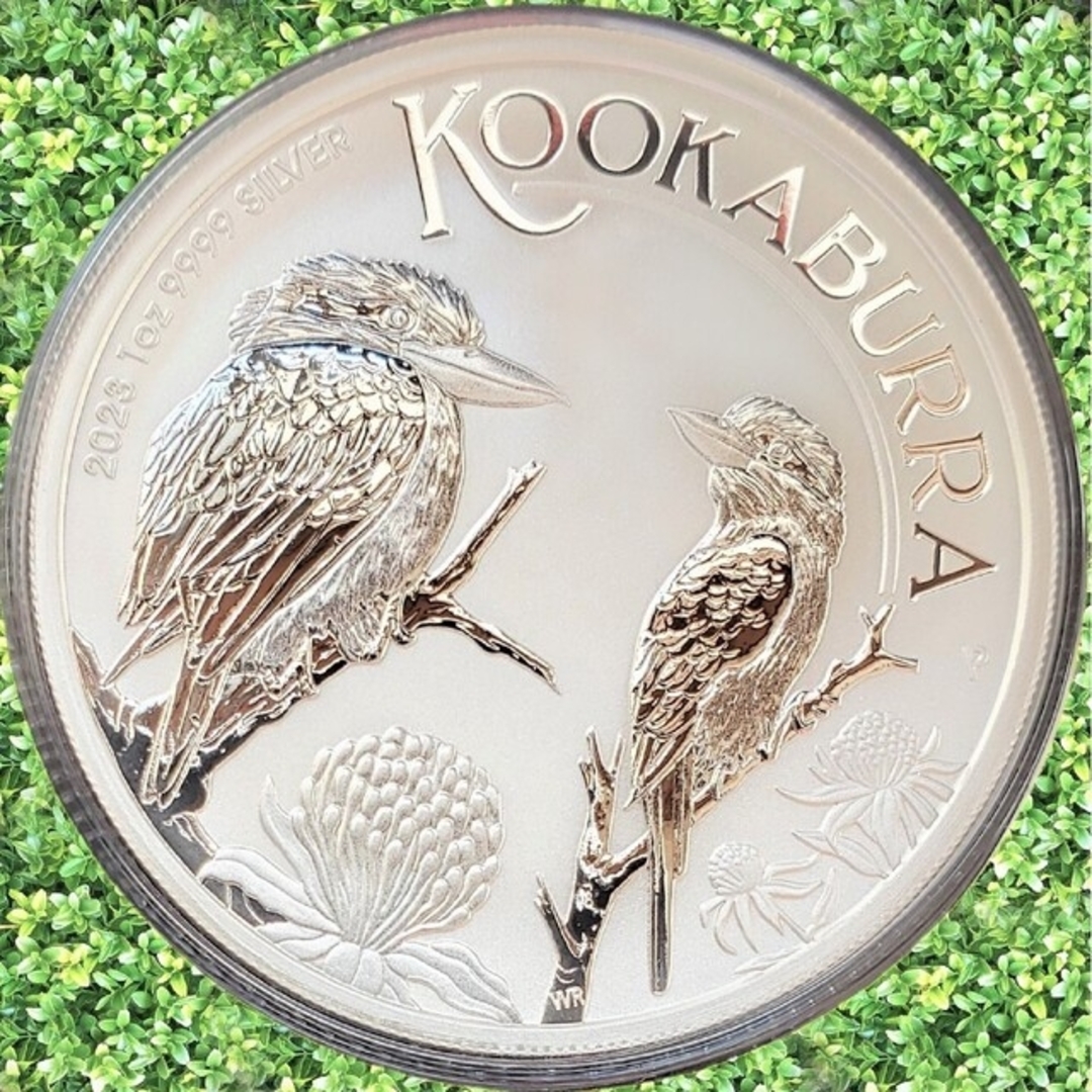 2021年発行　ワライカワセミ銀貨　純銀1オンス　本物ですメイプルリーフ銀貨