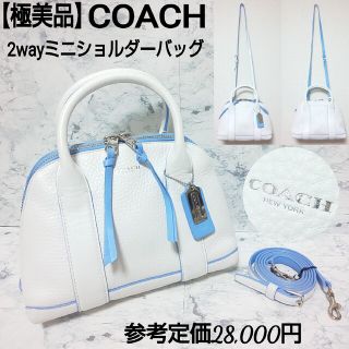 COACH バッグ レザー  イージーペイントレザー ミニプレストン