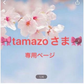 tamazo様　専用ページ　かんざし(その他)