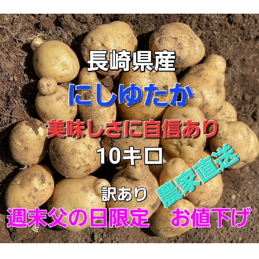 長崎県産 新じゃがいも にしゆたか 訳あり品 箱込み10キロ 食品/飲料/酒の食品(野菜)の商品写真