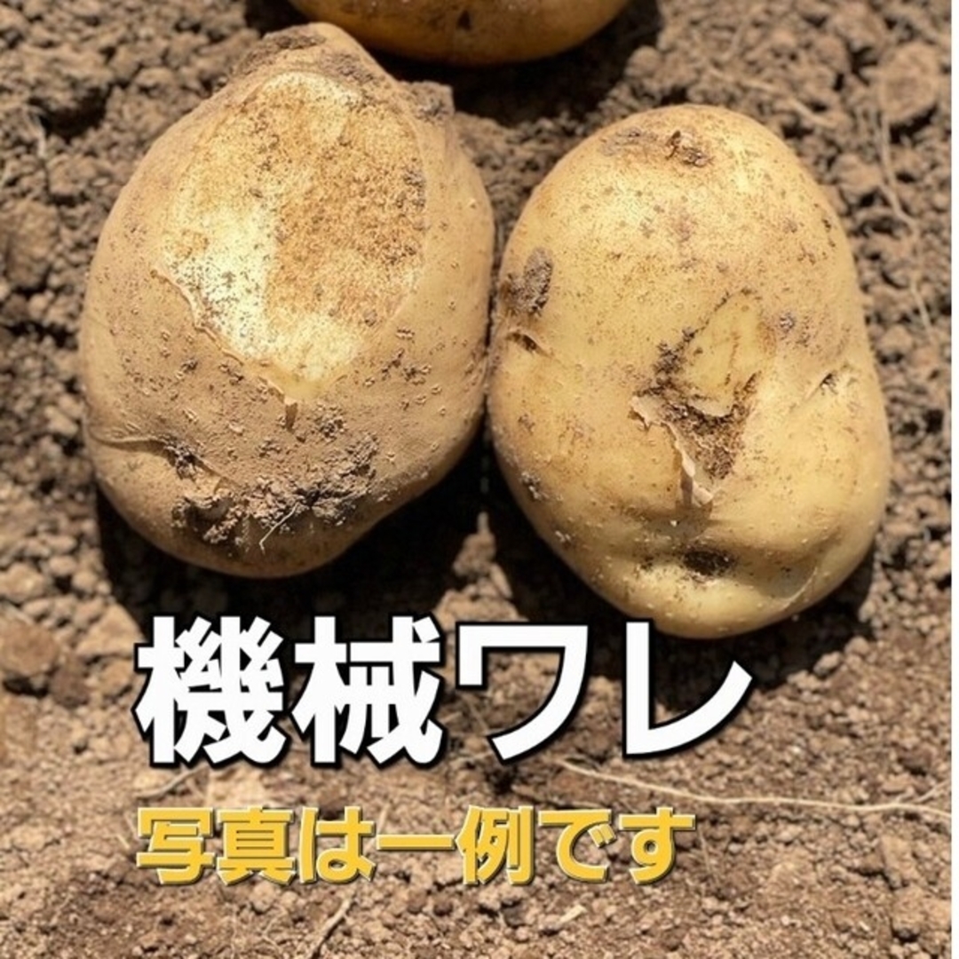 長崎県産 新じゃがいも にしゆたか 訳あり品 箱込み10キロ 食品/飲料/酒の食品(野菜)の商品写真