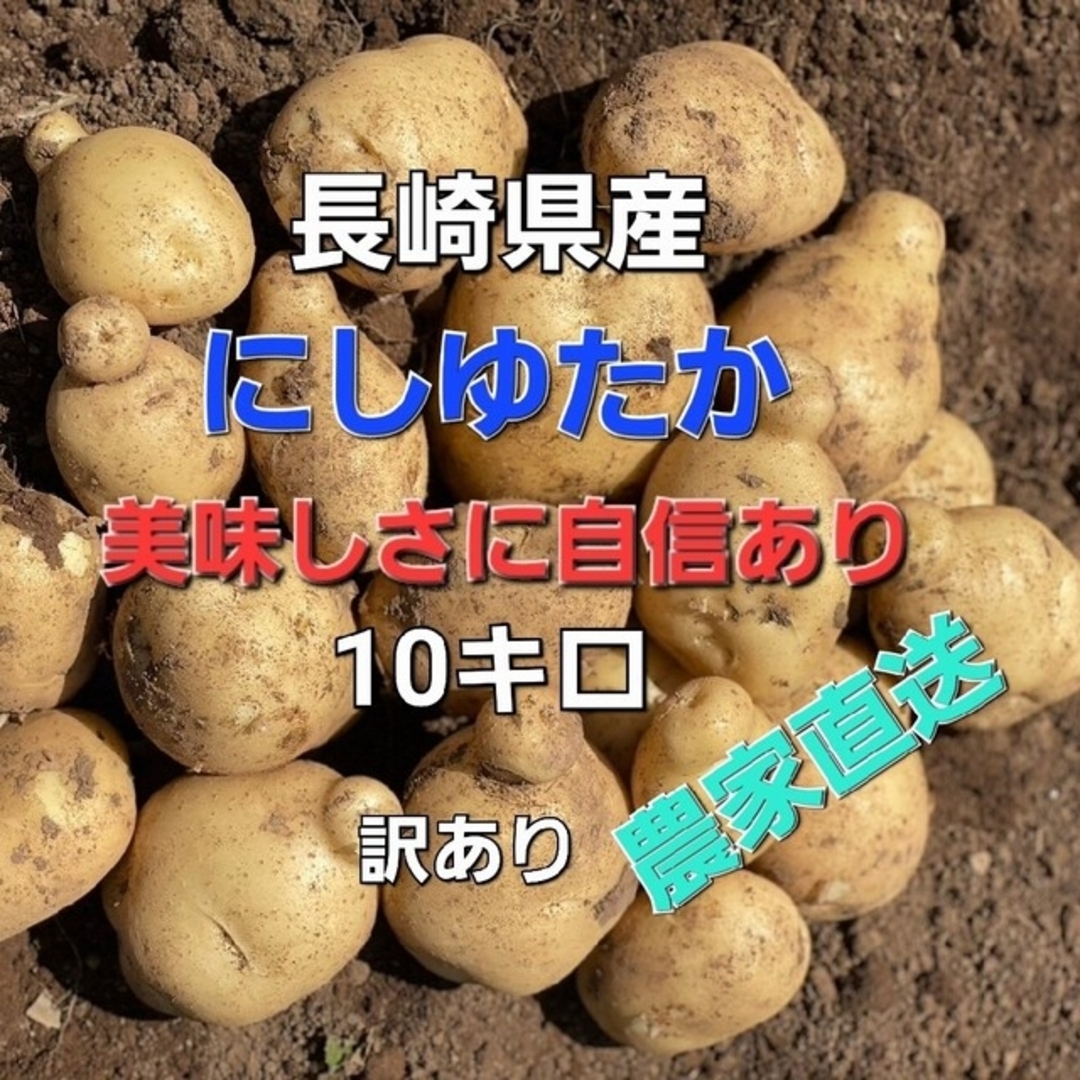 長崎県産 新じゃがいも にしゆたか 訳あり品 箱込み10キロ 食品/飲料/酒の食品(野菜)の商品写真