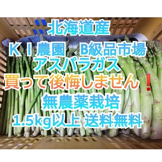 ＫＩ農園　Ｂ級品市場　アスパラガス（1.5kg以上　無農薬）買って後悔しません❗(野菜)