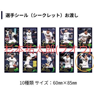 オリックスバファローズ(オリックス・バファローズ)のビジター応援デーシークレットシール杉本祐太郎(記念品/関連グッズ)