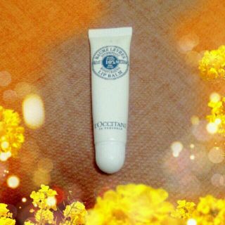 ロクシタン(L'OCCITANE)のL'CCITANE☆ﾘｯﾌﾟｸﾘｰﾑ(その他)