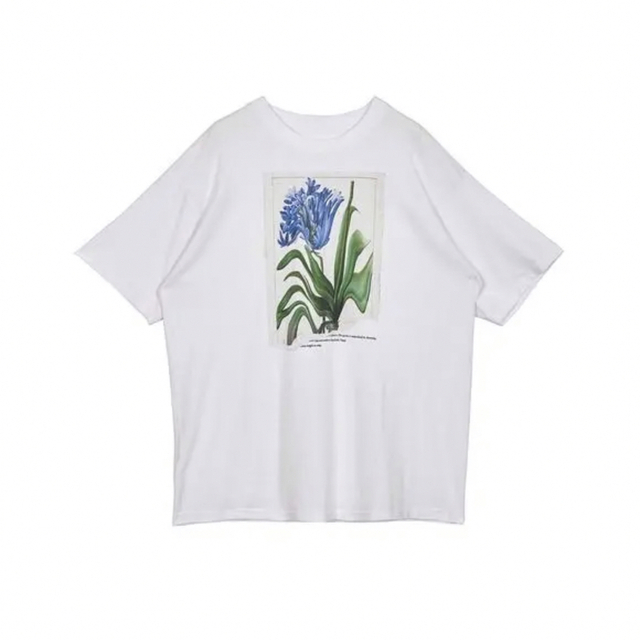 AmeriVINTAGE  DROOP FLOWER BIG TEE レディースのトップス(Tシャツ(半袖/袖なし))の商品写真