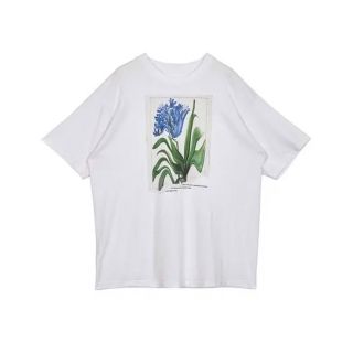 AmeriVINTAGE  DROOP FLOWER BIG TEE(Tシャツ(半袖/袖なし))