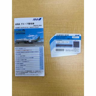 エーエヌエー(ゼンニッポンクウユ)(ANA(全日本空輸))のANA 株主優待優待券(その他)