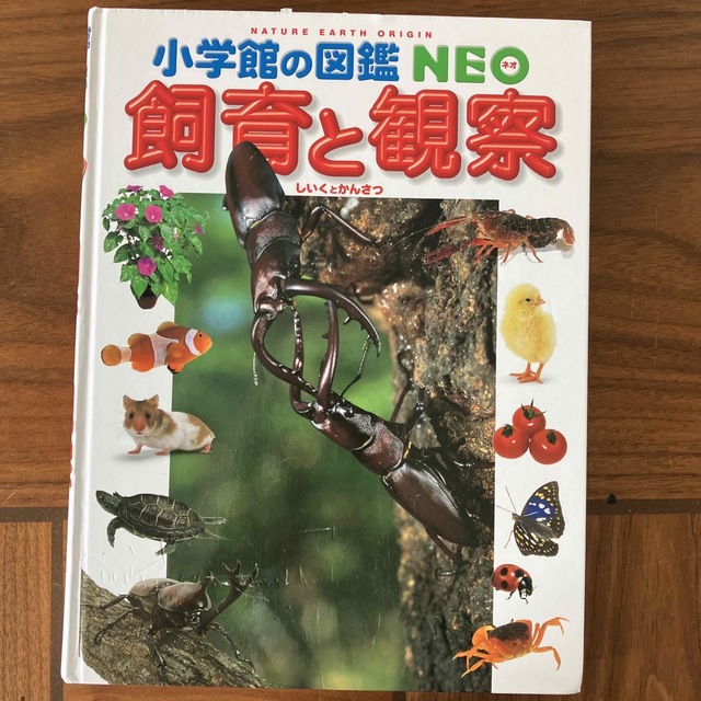 小学館(ショウガクカン)の小学館の図鑑NEO 飼育と観察 エンタメ/ホビーの本(絵本/児童書)の商品写真