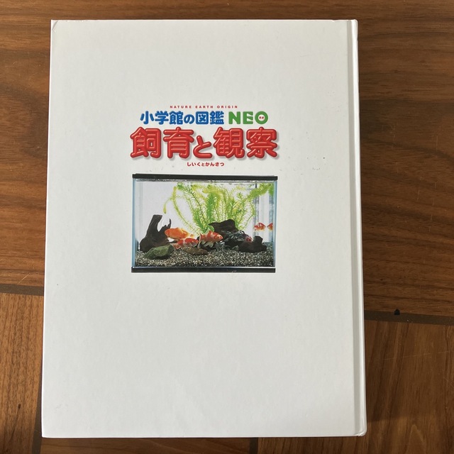 小学館(ショウガクカン)の小学館の図鑑NEO 飼育と観察 エンタメ/ホビーの本(絵本/児童書)の商品写真