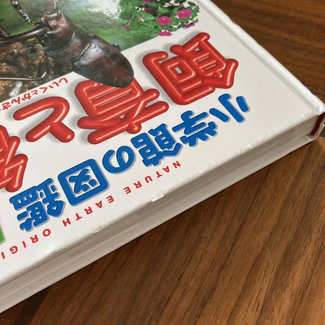 小学館(ショウガクカン)の小学館の図鑑NEO 飼育と観察 エンタメ/ホビーの本(絵本/児童書)の商品写真