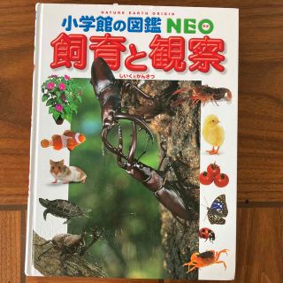 ショウガクカン(小学館)の小学館の図鑑NEO 飼育と観察(絵本/児童書)