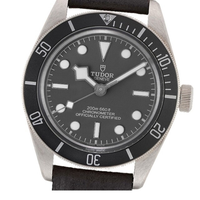 Tudor(チュードル)のTUDOR、銀無垢、BLACKBAY メンズの時計(腕時計(アナログ))の商品写真