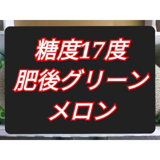 肥後グリーンメロン２玉入り(フルーツ)