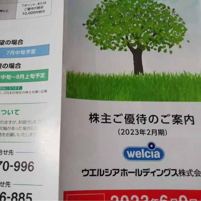 ご覧頂きありがとうございますウエルシア株主優待申込ハガキ　3000円分×6枚セット　ゆうパケット発送