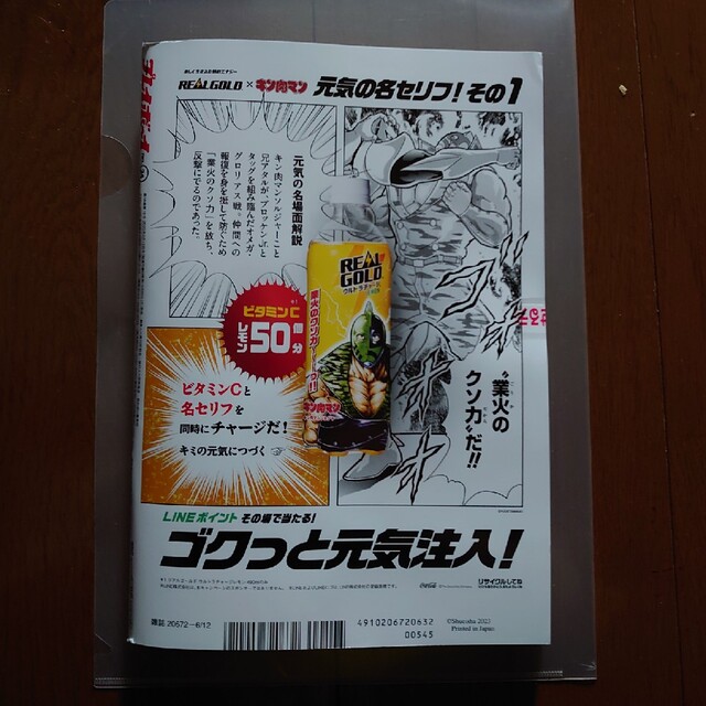 集英社(シュウエイシャ)の週刊 プレイボーイ 2023年 6/12号 白間美瑠 DVD付き エンタメ/ホビーの雑誌(その他)の商品写真