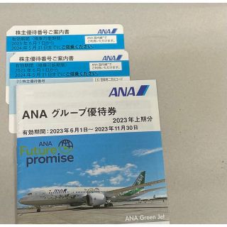 ANA 株主優待(航空券)