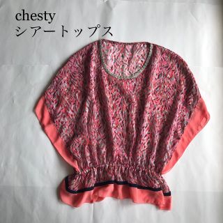 チェスティ(Chesty)のchesty  柄　透け感　シアー　トップス(シャツ/ブラウス(半袖/袖なし))