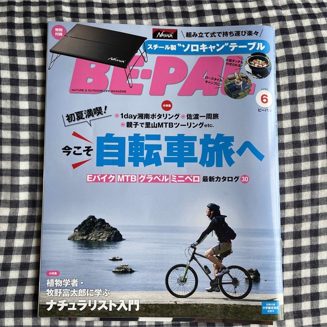 ビーパル　2023年　6月号　雑誌のみ エンタメ/ホビーの雑誌(趣味/スポーツ)の商品写真