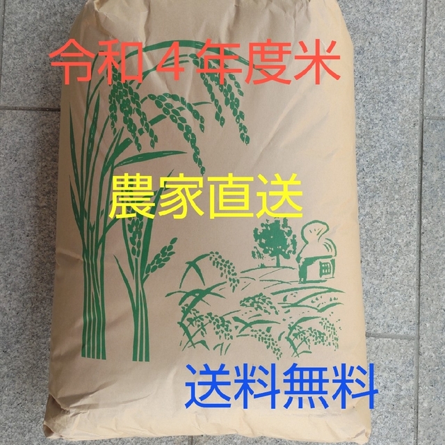 お米愛媛県産ヒノヒカリ３０kg - 米/穀物