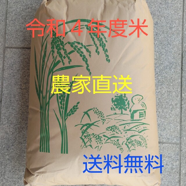 玄米お米愛媛県ヒノヒカリ３０kg