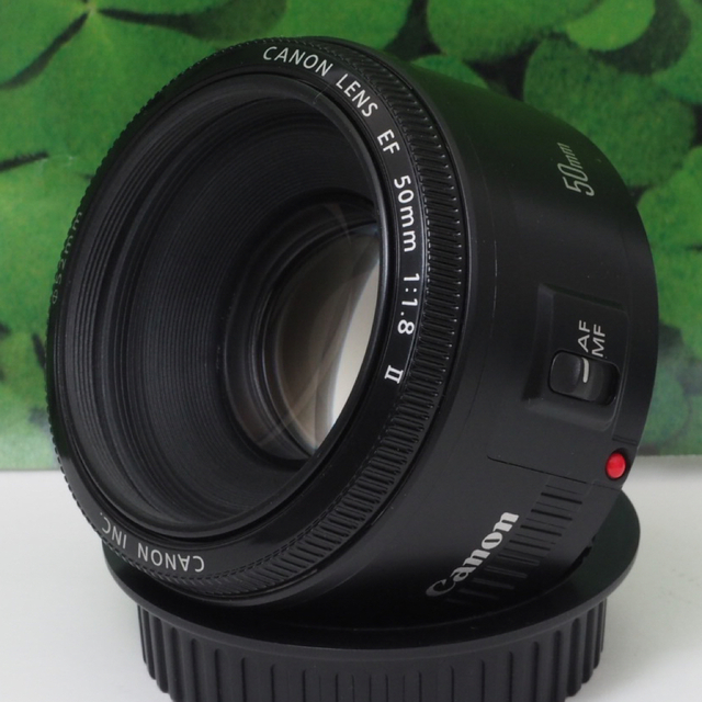 ☆極上美品【Canon】EF 50mm F1.8 STM 単焦点 キャノン