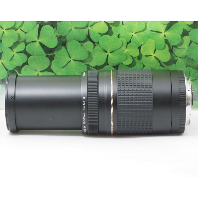 【美品】キャノンEF75-300mm超望遠ズーム⭐️スポーツ、イベントで大活躍