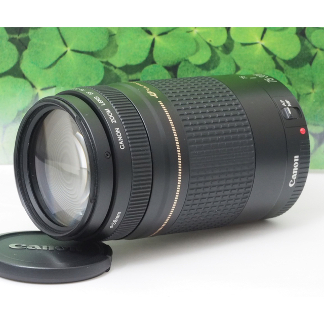 Canon - 【美品】キャノンEF75-300mm超望遠ズーム❤️スポーツ