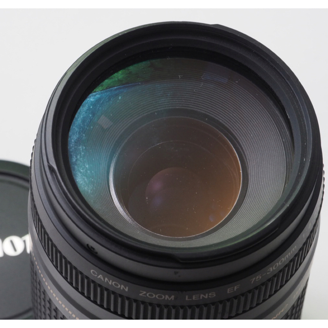 Canon - 【美品】キャノンEF75-300mm超望遠ズーム❤️スポーツ