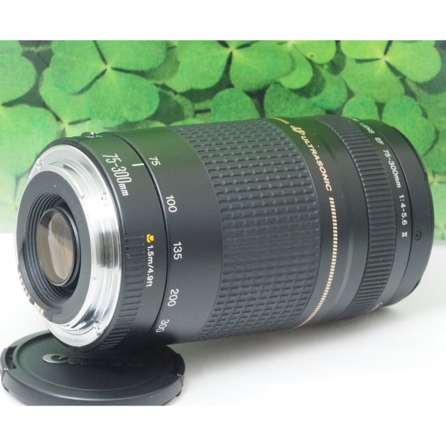 【美品】キャノンEF75-300mm超望遠ズーム❤️スポーツ、イベントで大活躍