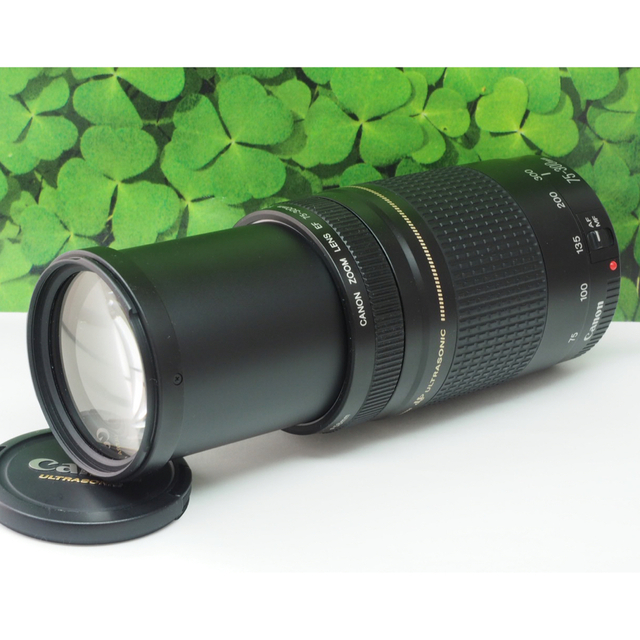 【美品】キャノンEF75-300mm超望遠ズーム❤️スポーツ、イベントで大活躍