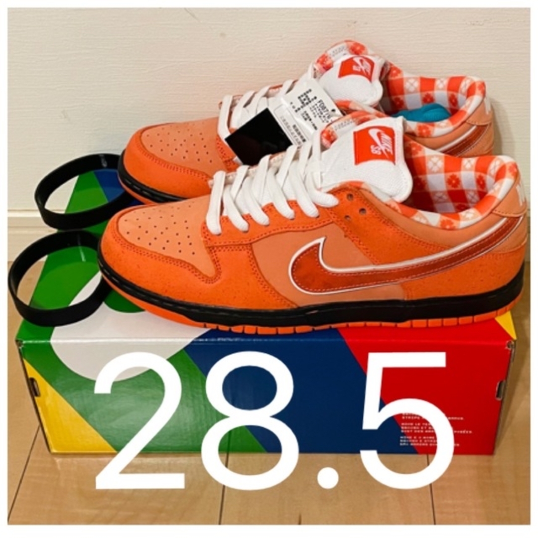 28.5 Nike SB Dunk Low Orange Lobster ダンク
