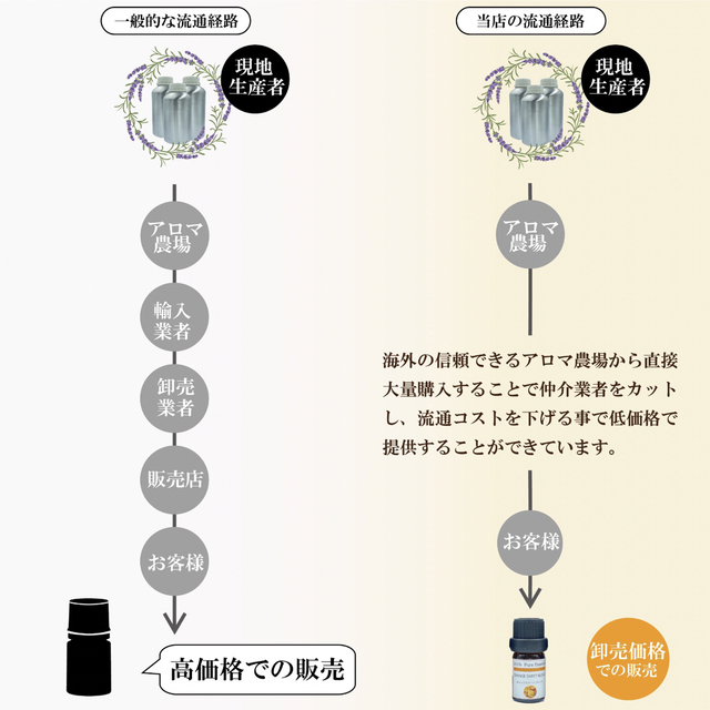 バジル　アロマ　精油　10ml コスメ/美容のリラクゼーション(エッセンシャルオイル（精油）)の商品写真